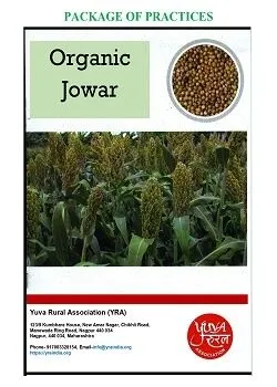 Organic Jowar